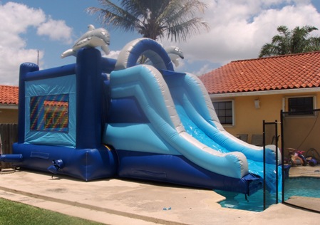 bouncer_dolphin_no_pool.JPG